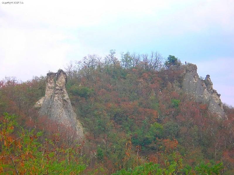 vissza