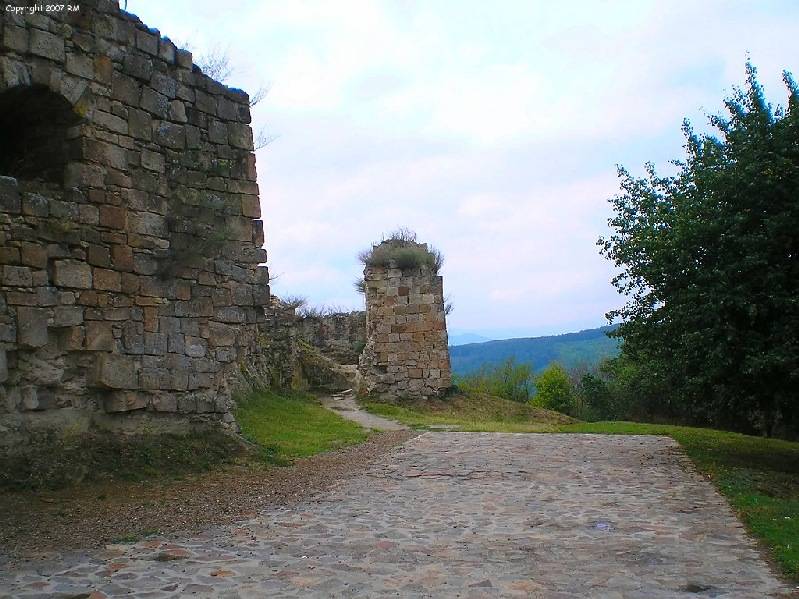 vissza