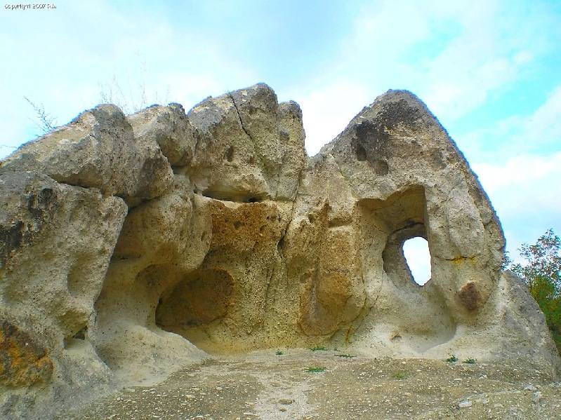 vissza