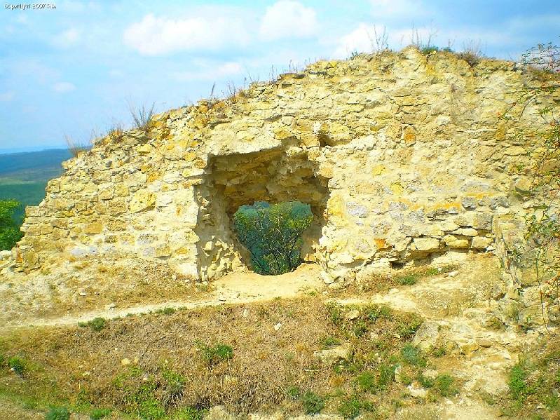 vissza