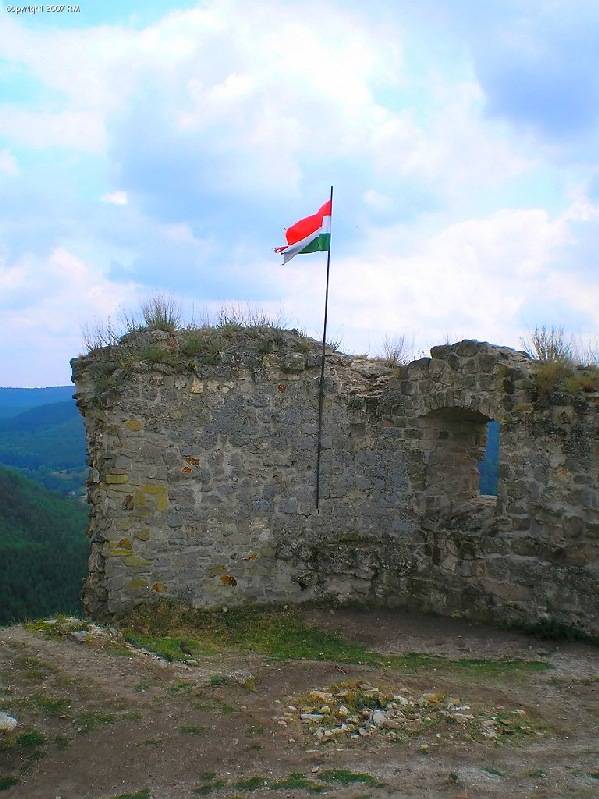 vissza