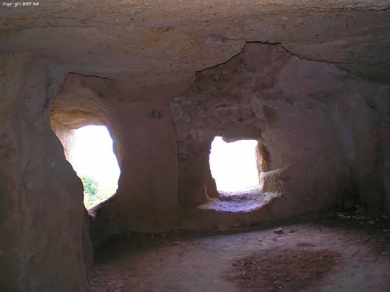vissza