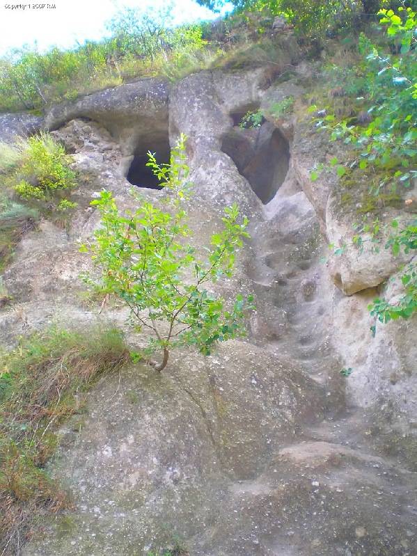 vissza