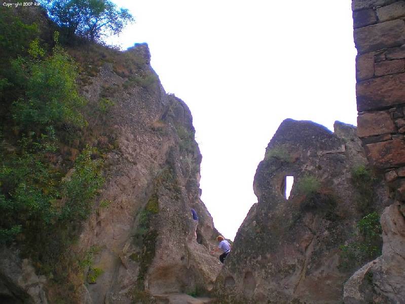 vissza