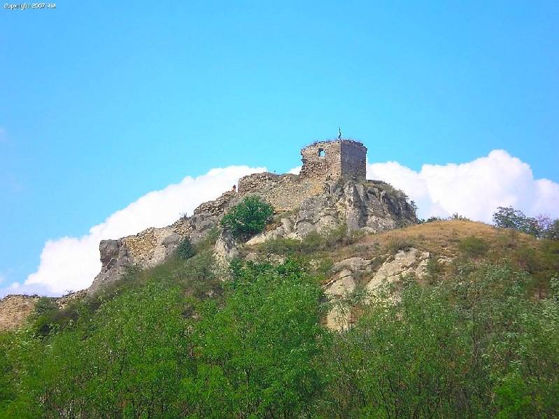 vissza