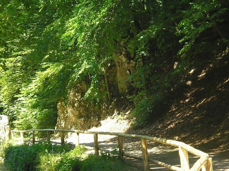 vissza