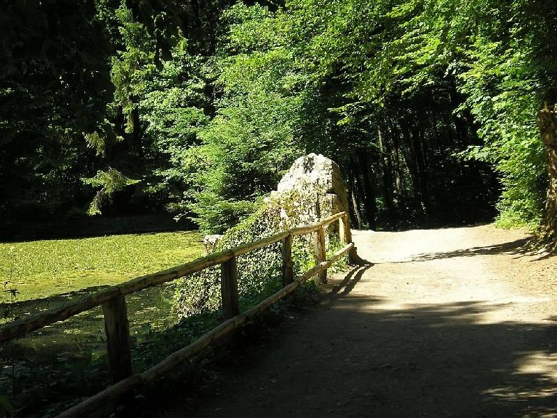 vissza