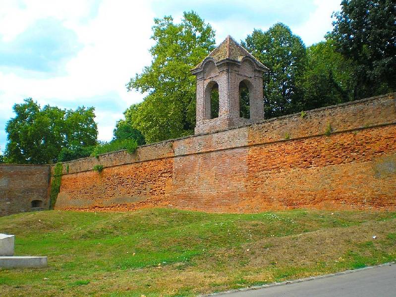 vissza