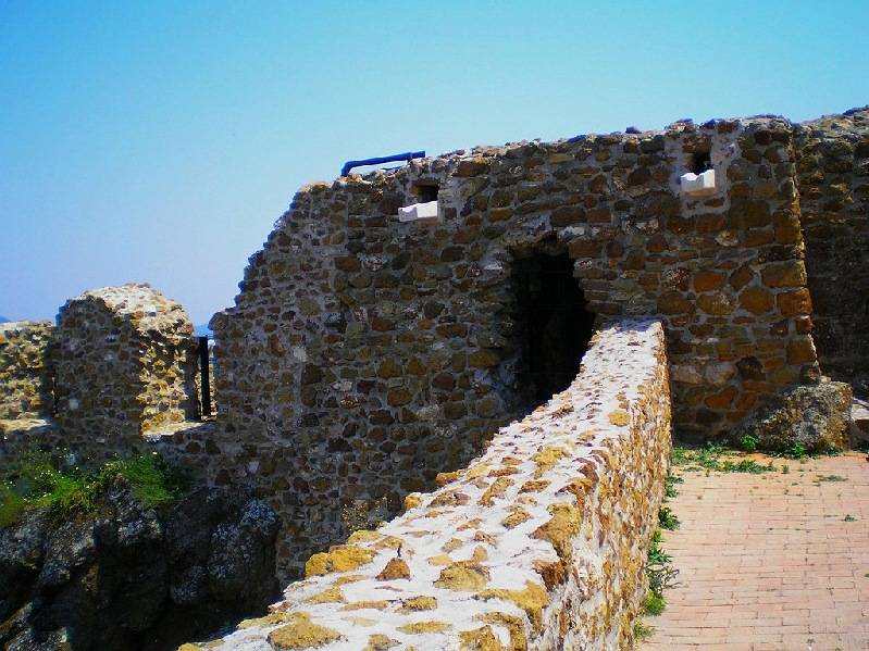 vissza