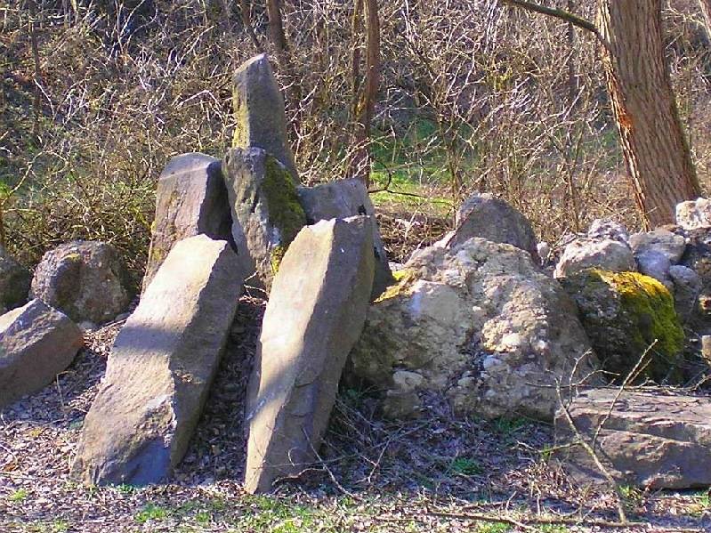 vissza