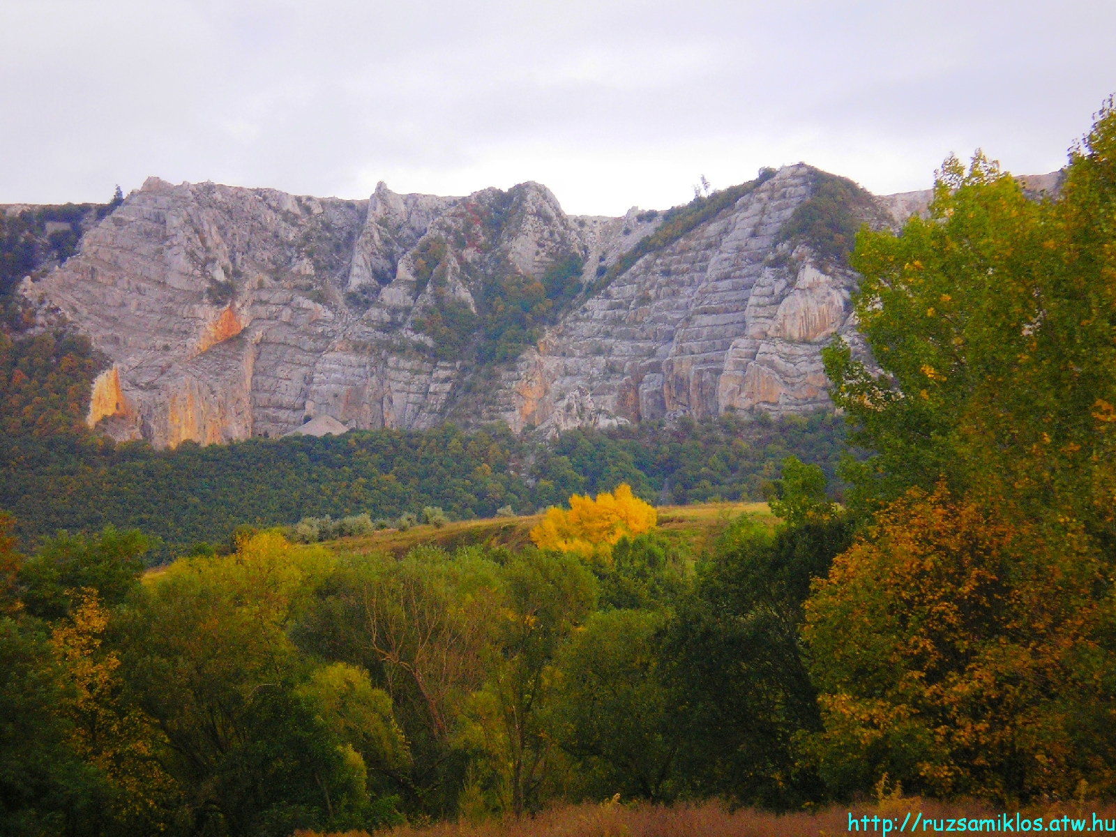 vissza