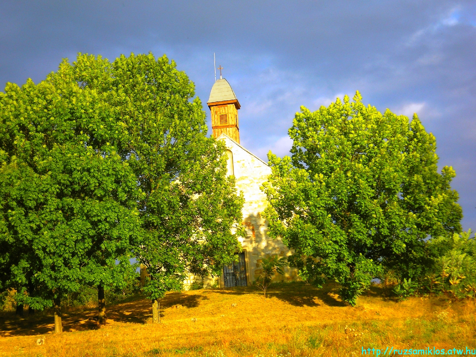 vissza