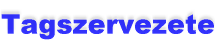 Tagszervezete