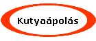 Kutyapols