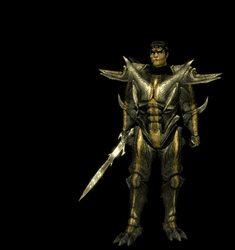 The Shadow Warrior