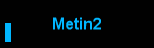 Metin2