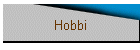 Hobbi