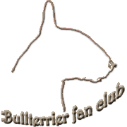 Born 2001 Kft. - Fel�p�tj�k terveit!