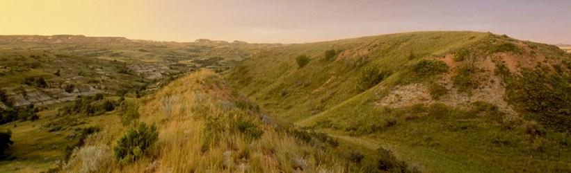 headerphoto
