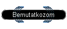 Bemutatkozom
