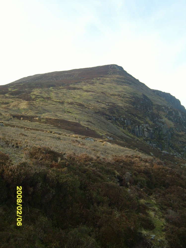 S1031069.JPG