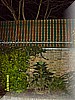 S1030780.JPG