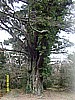 S1030955.JPG