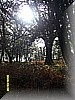 S1030964.JPG