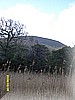 S1030971.JPG