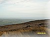 S1031070.JPG