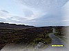 S1031088.JPG