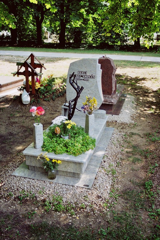 gal/Referenciamunkaink/kep_172.jpg