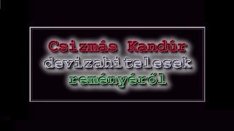 Van a deviz�soknak rem�ny.