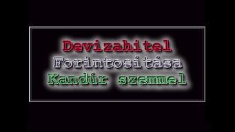 Sajn�lom magukat, de nem �rtem �n�ket!.