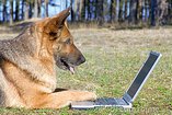laptop laptop_szerviz