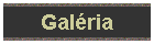 Gal�ria