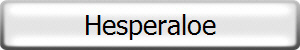 Hesperaloe