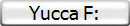 Yucca F: