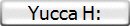 Yucca H: