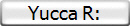 Yucca R: