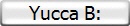 Yucca B: