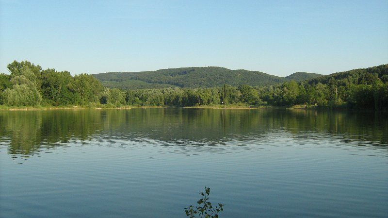 nagy09