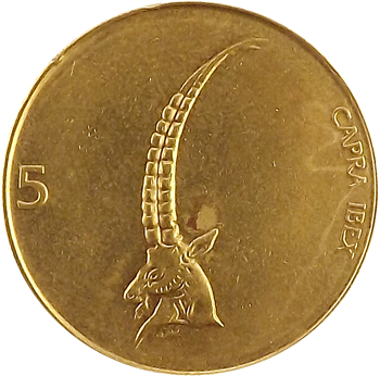 5 Tolar back
