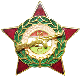 Munkásőr jelvény