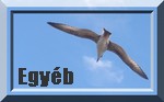 Egy&eacute;b