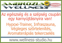 Ambr�zia Wellness St�di�