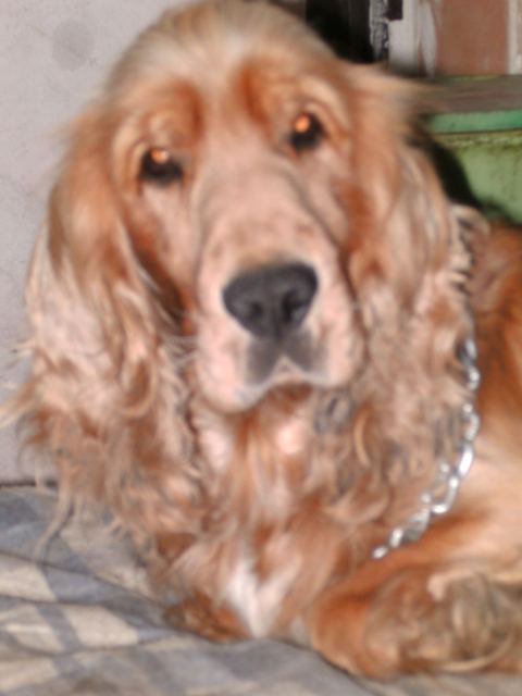 mandula%20022.jpg