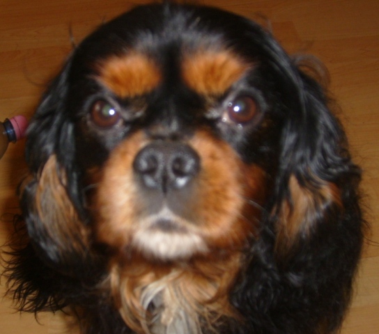 goody6.jpg