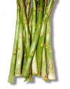 Michigan Asparagus 