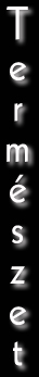 termf&uuml;gg